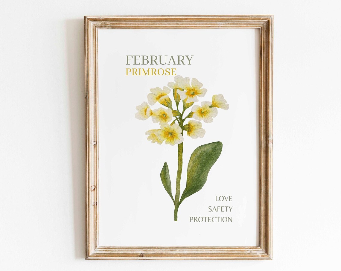 February Primrose Watercolor Art Print, Floral Minimalist