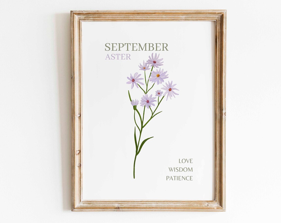 Purple Aster Watercolor Art Print, Minimalist Floral