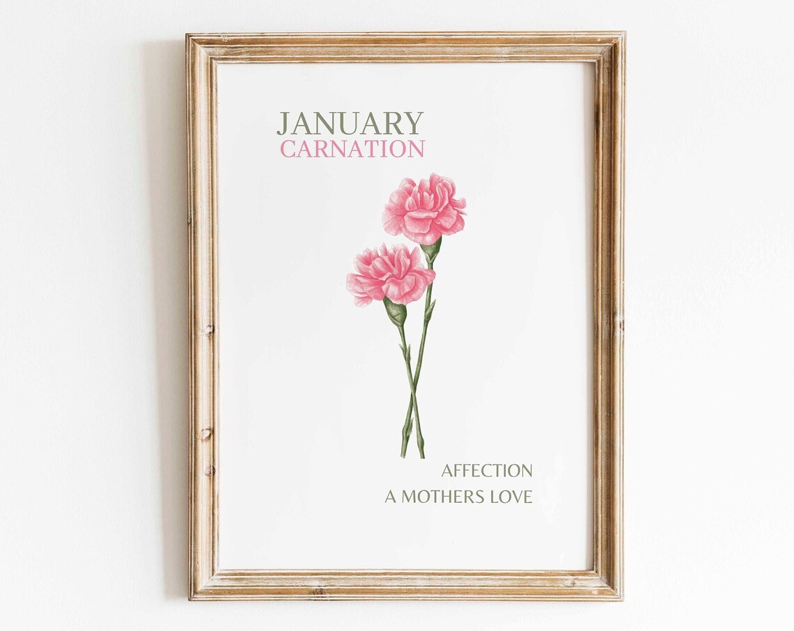 Pink Carnation Watercolor Art Print, Minimalist Floral