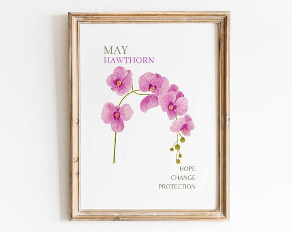 May Hawthorn Watercolor Art Print, Floral Minimalist