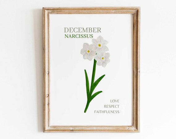 December Narcissus Watercolor Art Print, Minimalist Floral