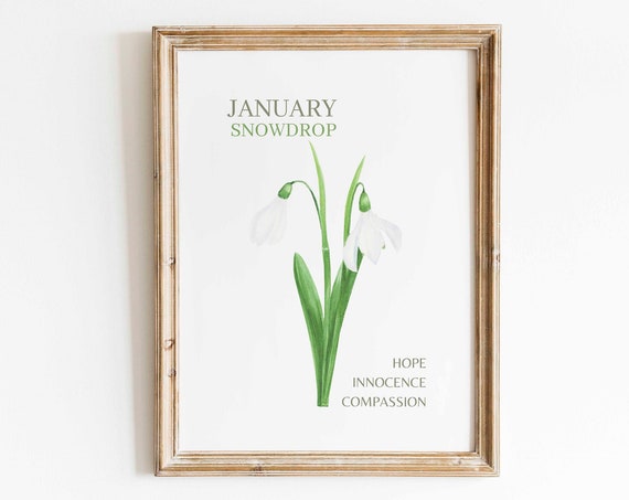 January Birth Month Flower Snow Drop Watercolor Art Print