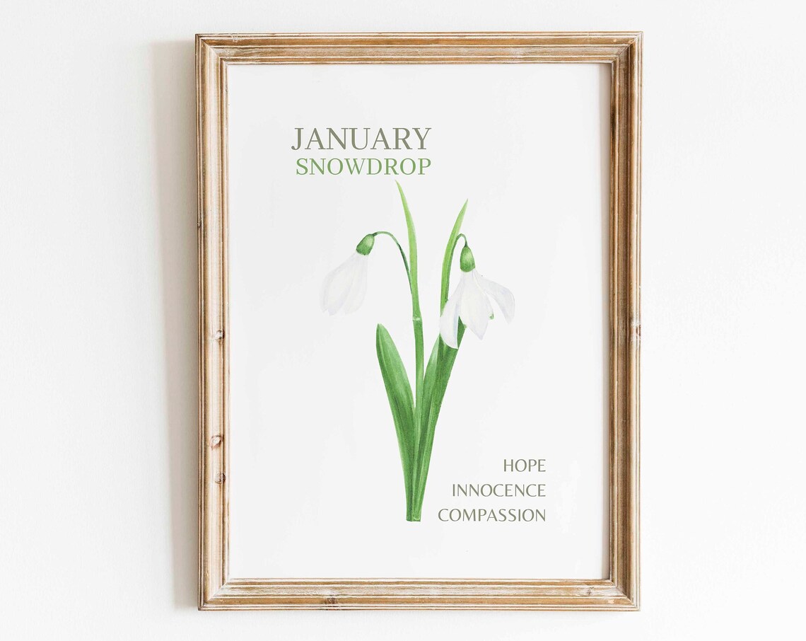 January Birth Month Flower Snow Drop Watercolor Art Print