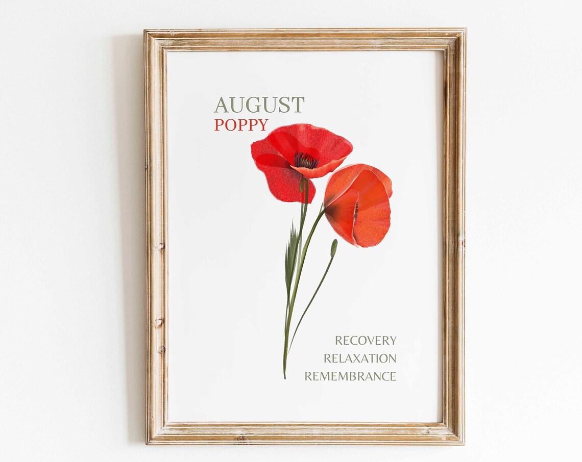 Red Poppy Watercolor Art Print, Minimalist Floral