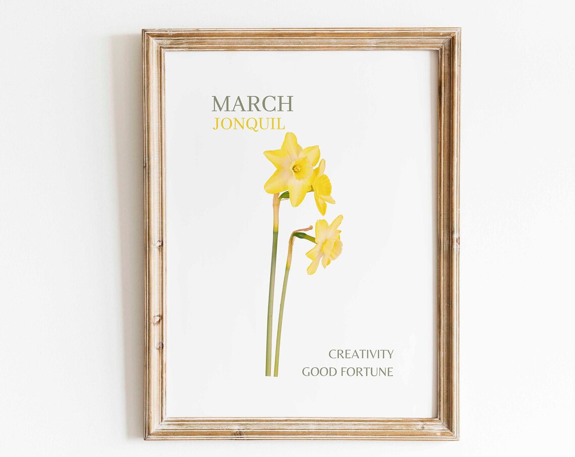 March Jonquil Watercolor Art Print, Minimalist Floral