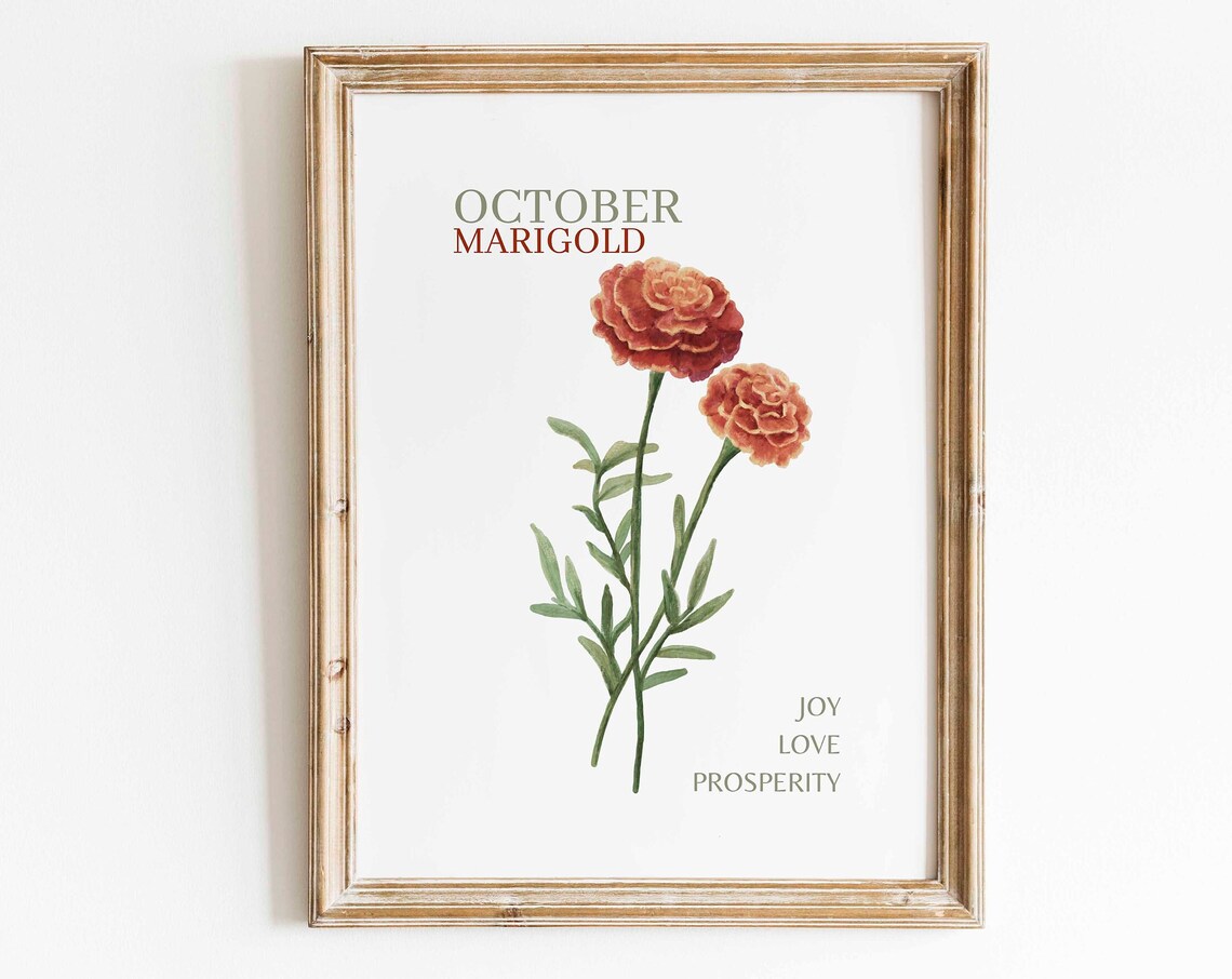 Marigold Watercolor Art Print, Floral Minimalist