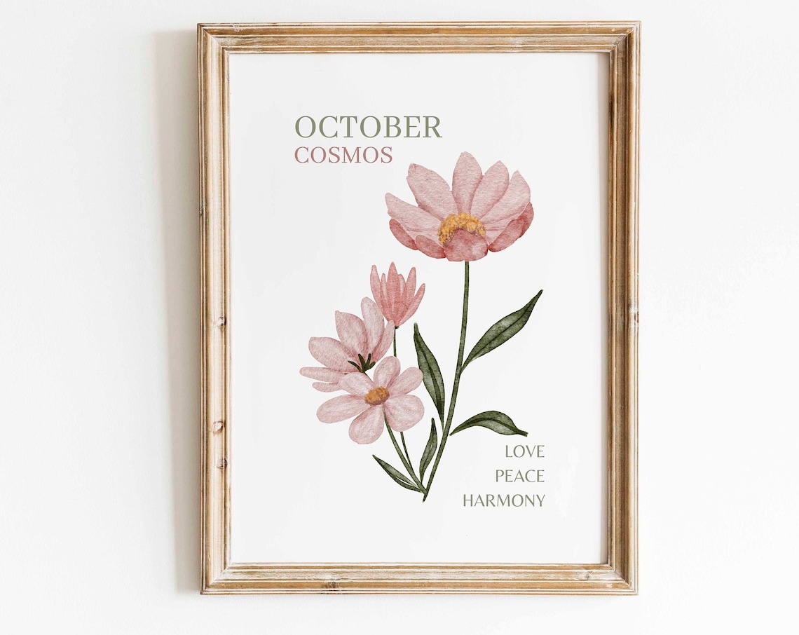 Pink Cosmos Watercolor Art Print, Minimalist Floral