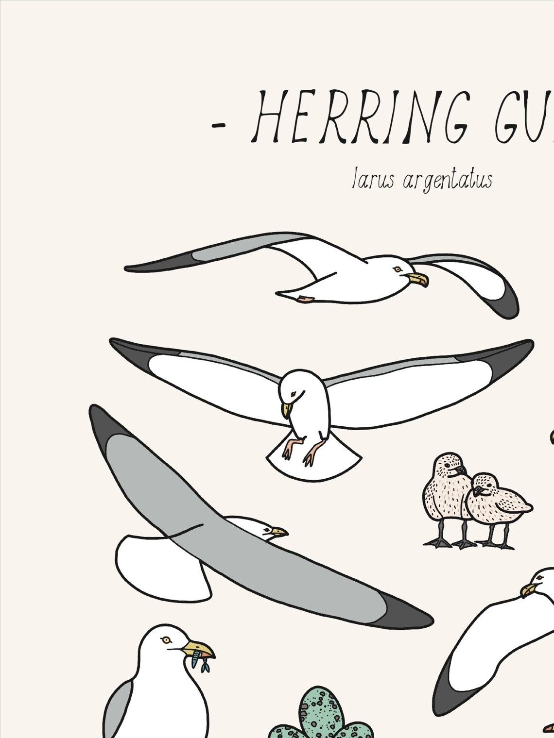 Seagull Print Herring Gull Art Print, Coastal Decor - Image 2