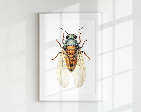Cicada Bug Print, Botanical Guide Poster