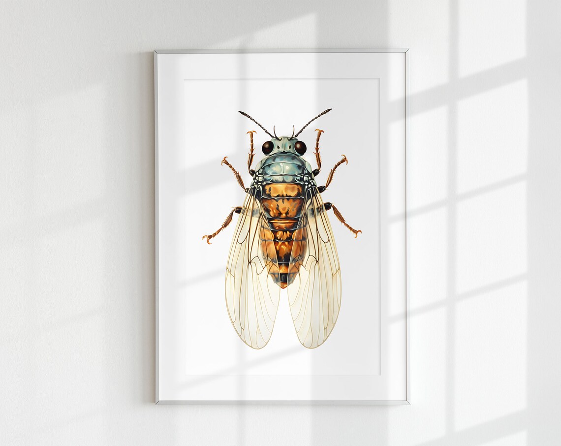 Cicada Bug Print, Botanical Guide Poster