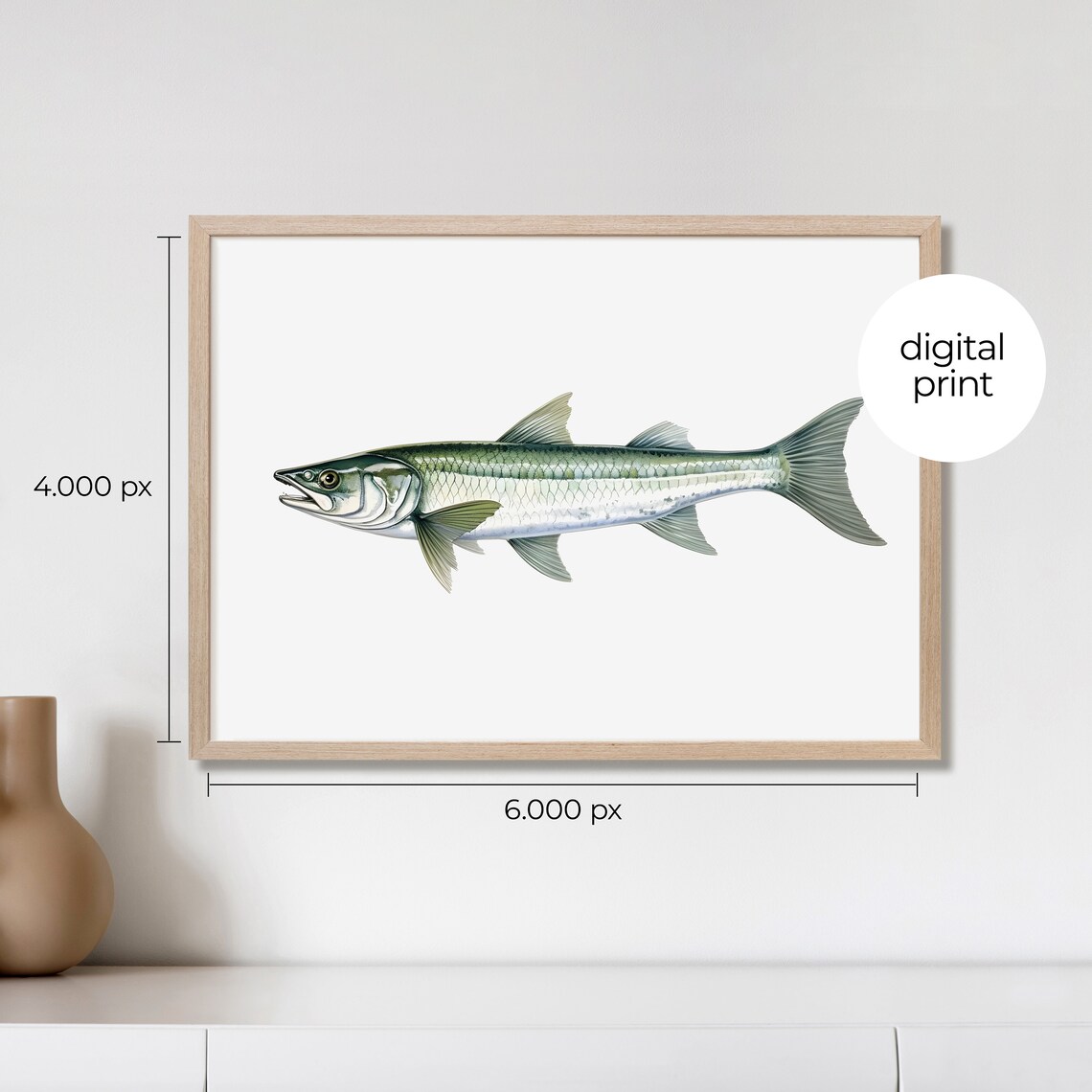Barracuda Vintage Illustration Art Print - Image 2