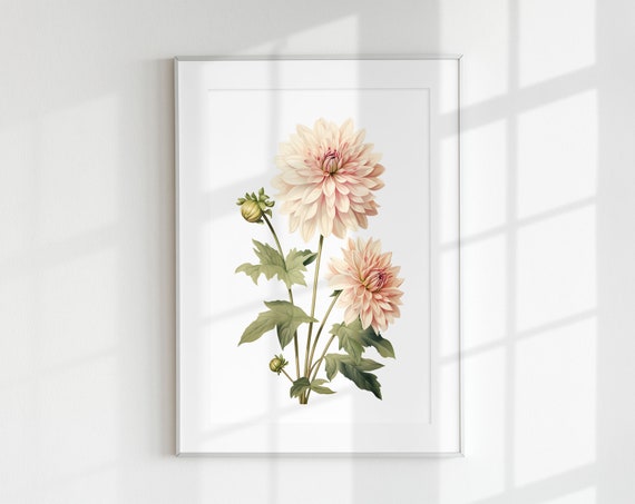 Dahlia Vintage Botanical Art Print