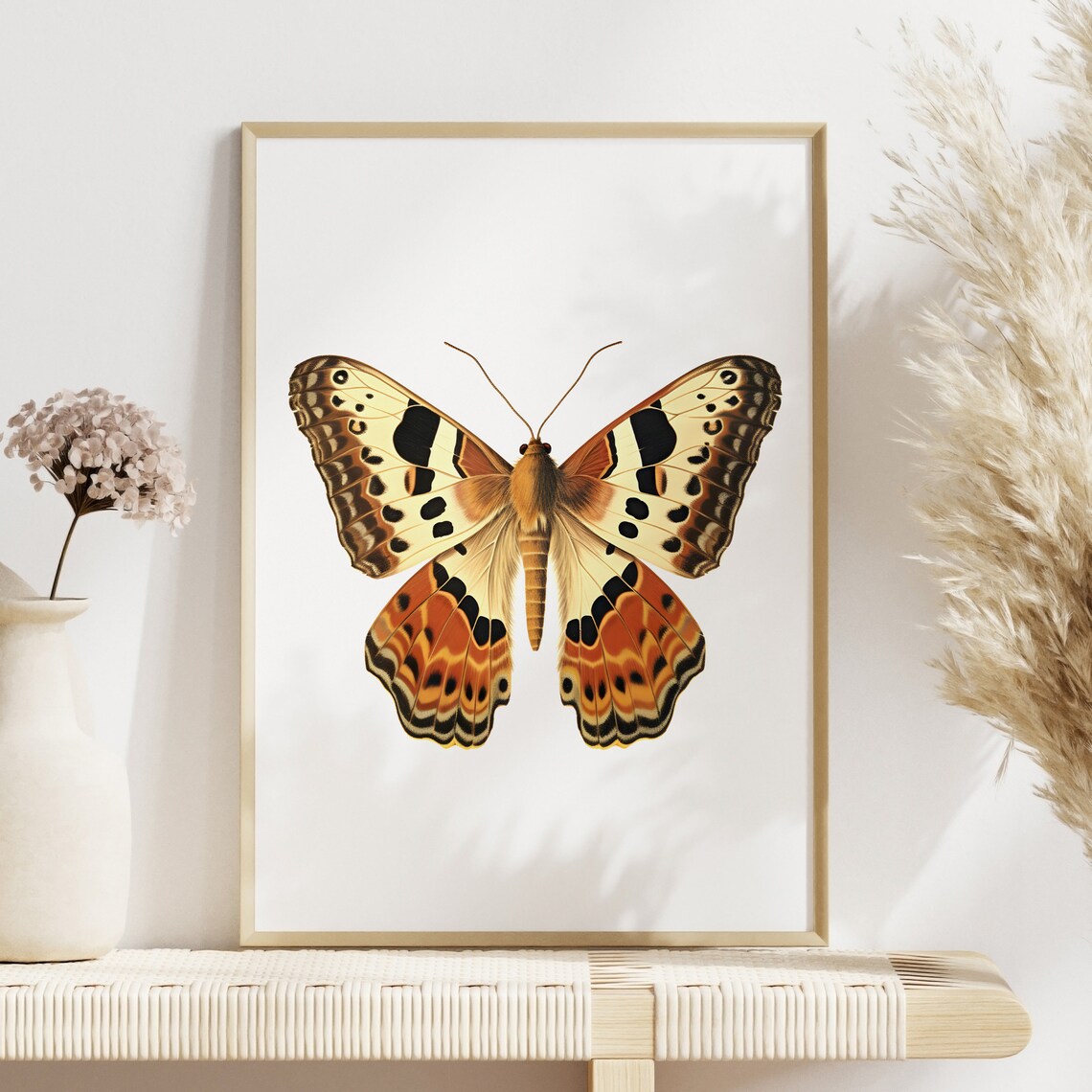 Moth Print, Botanical Guide Art Print - Image 2