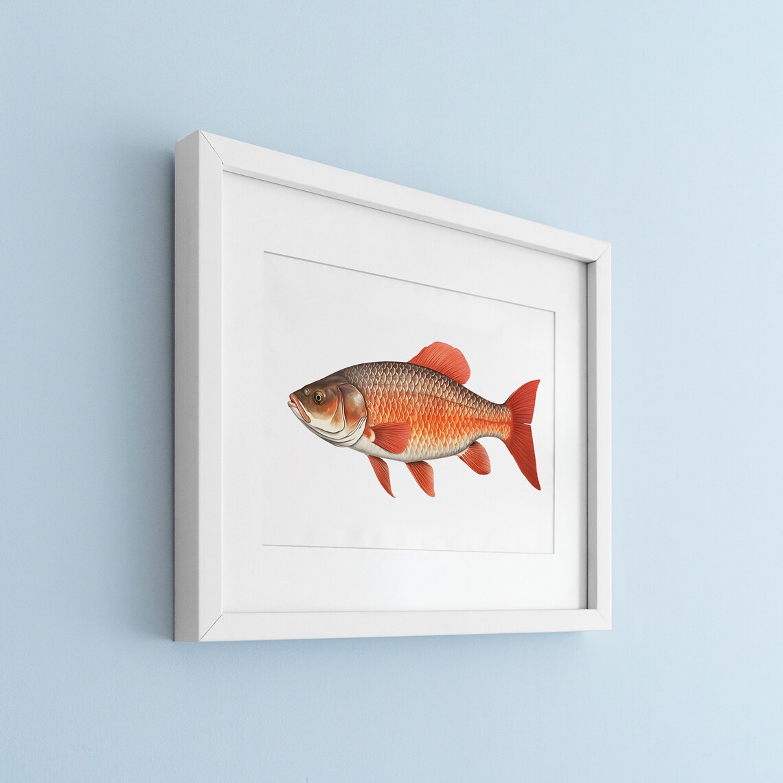 Vintage Carp Fish Lithograph, Fishing Wall Art Print - Image 3