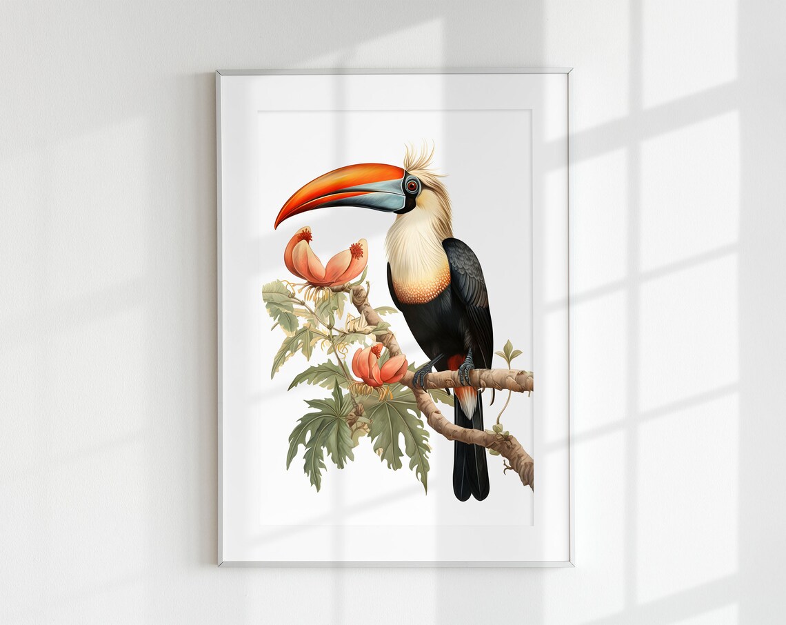 Hornbill Botanical Guide Bird Poster, Tropical Bird