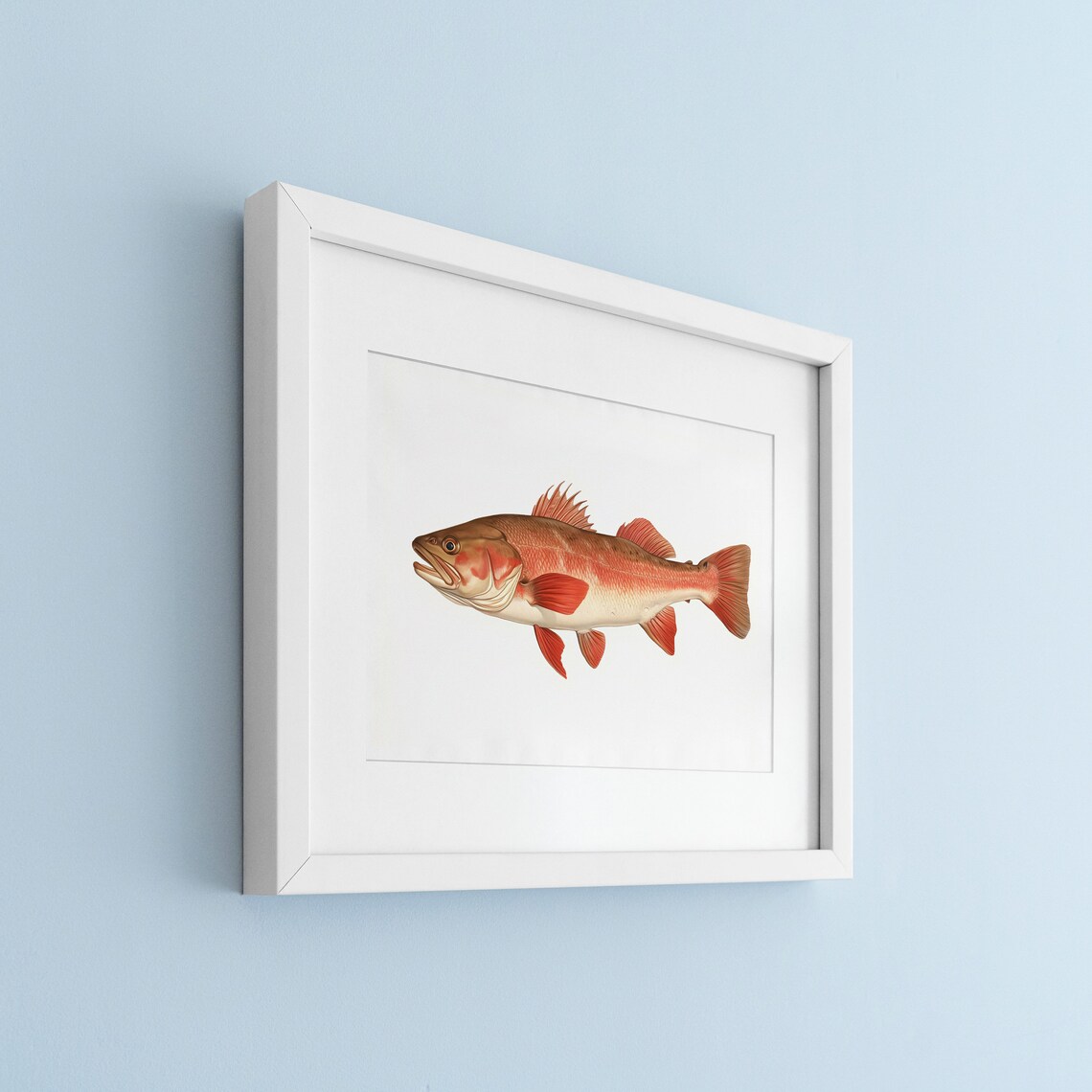 Cod Fish Vintage Illustration Wall Art Print - Image 2