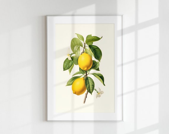 Vintage Lemon Branch Botanical Fruit Poster