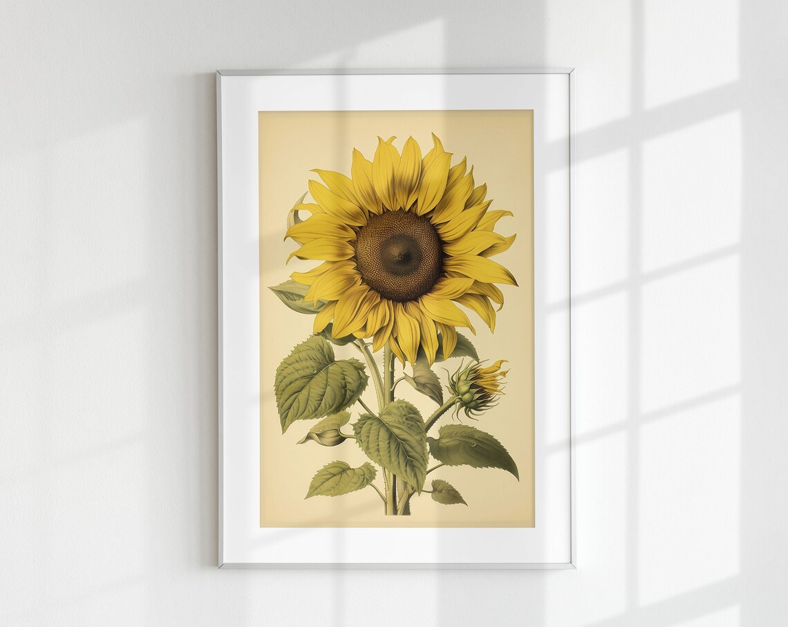 Vintage Sunflower Botanical Wall Art Print
