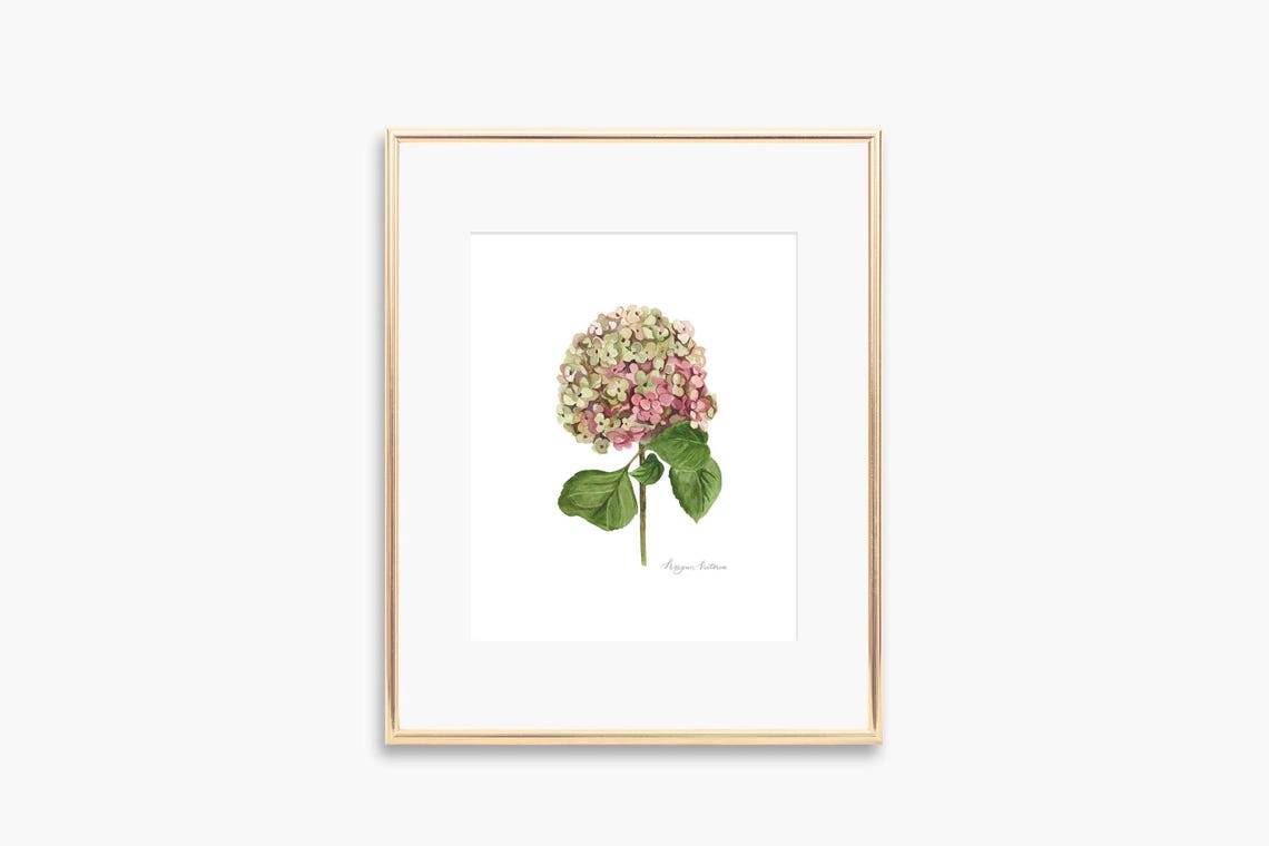 Mauve Hydrangea Watercolor Pink Bloom Botanical Elegant Art Poster