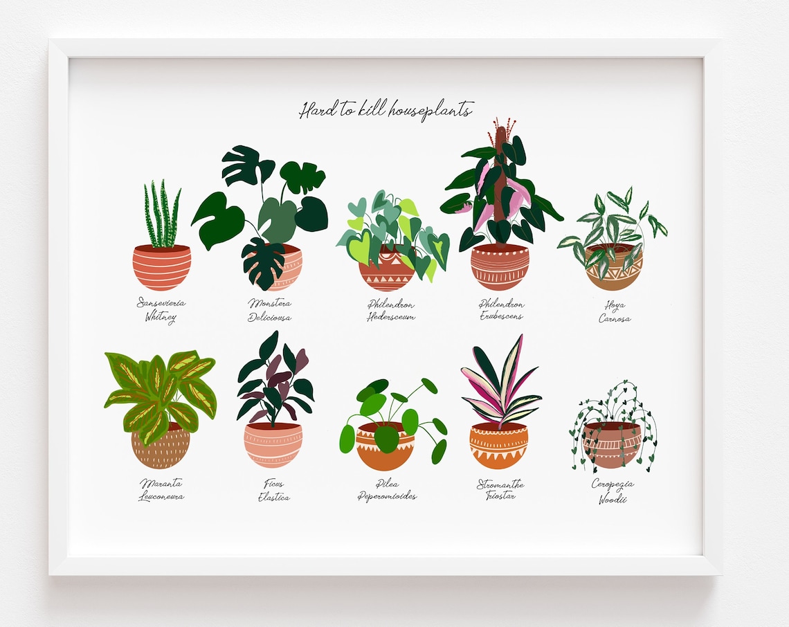House Plant Boho Art Print, Bohemian Home Decor
