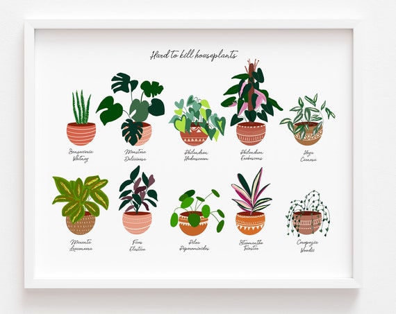 House Plant Bohemian Poster, Botanical Wall Art
