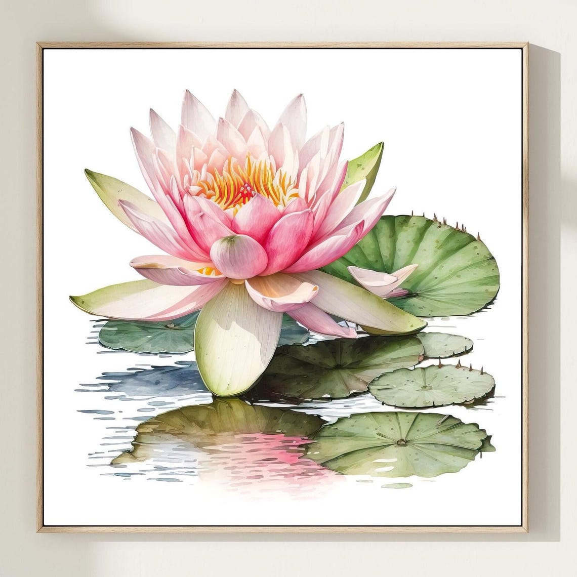 Soft Pink Water Lily Bloom Above Still Lily Pads Watercolor Wall Art