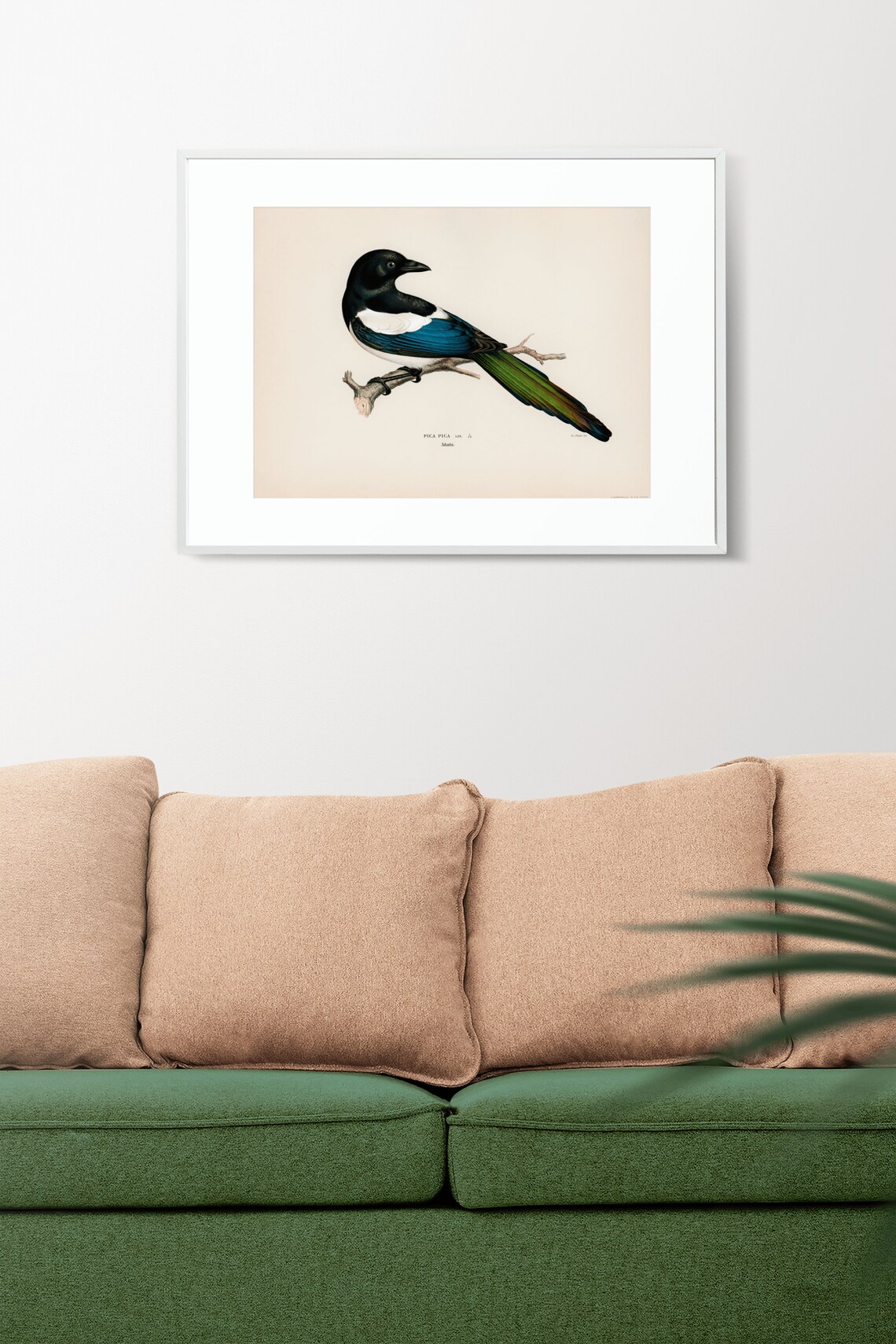 Magpie Bird Vintage Nature Art Print Poster - Image 2