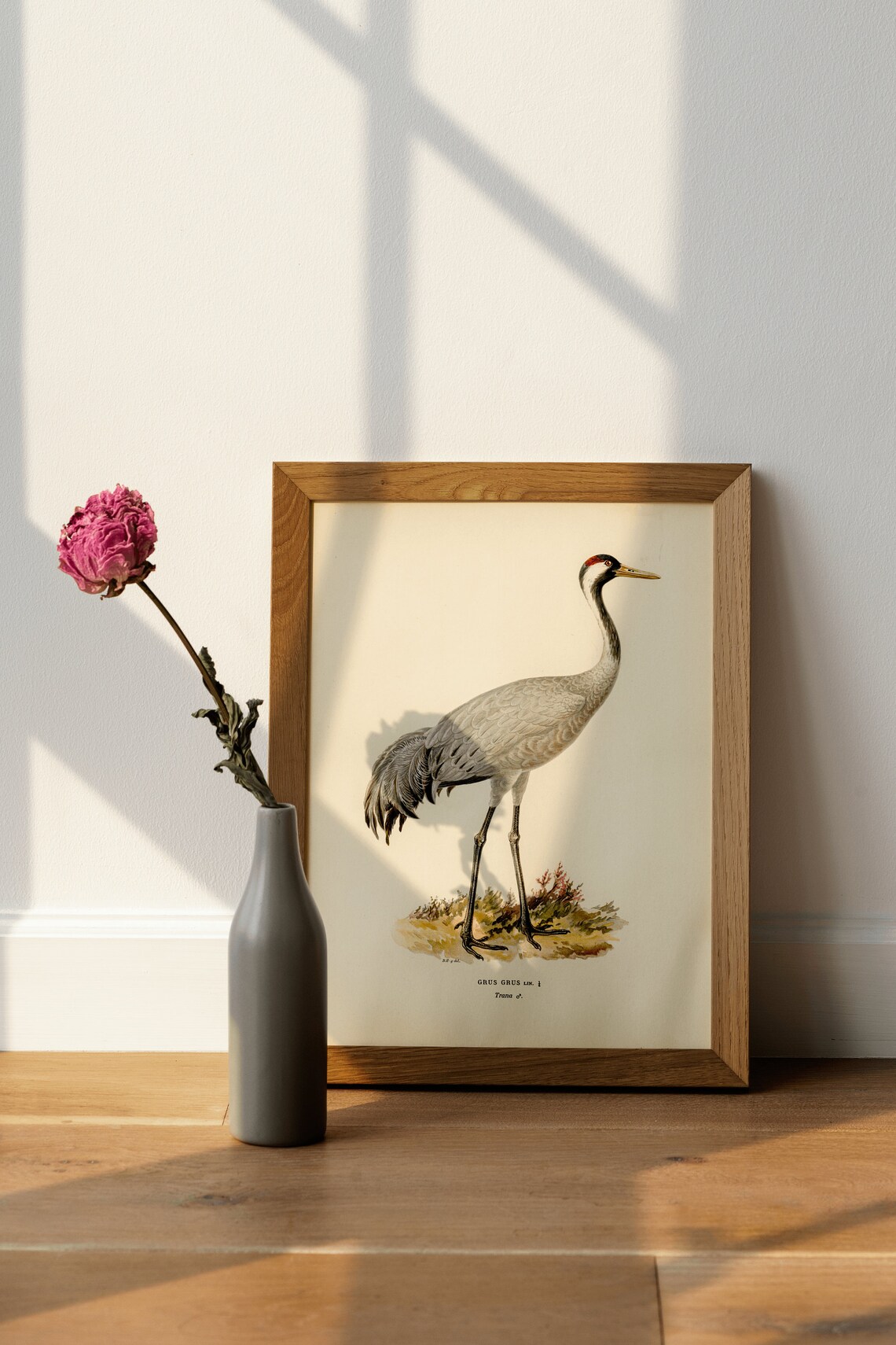 Vintage Crane Bird Art Print, Classic Nature Decor - Image 4
