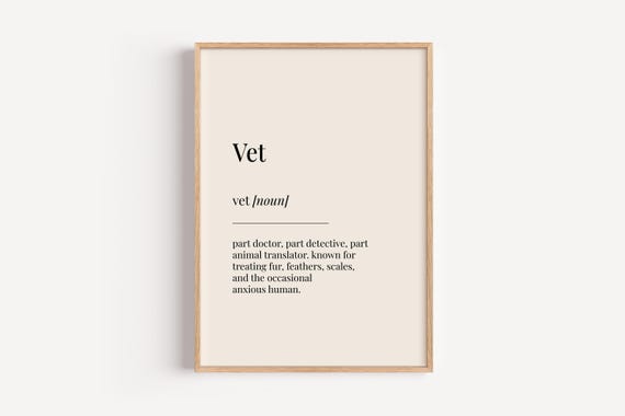 Vet Definition Dictionary Poster, Funny Gift For Him Her
