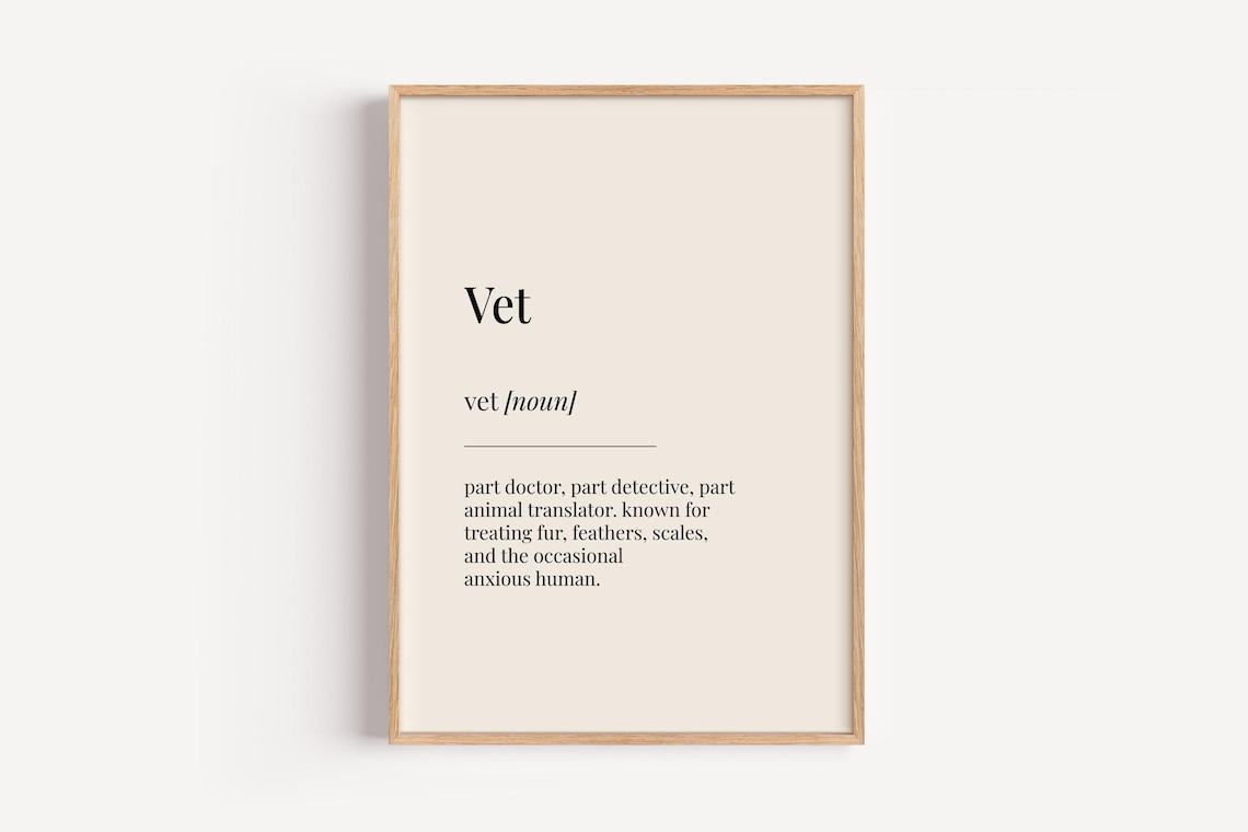 Vet Definition Dictionary Poster, Funny Gift For Him Her