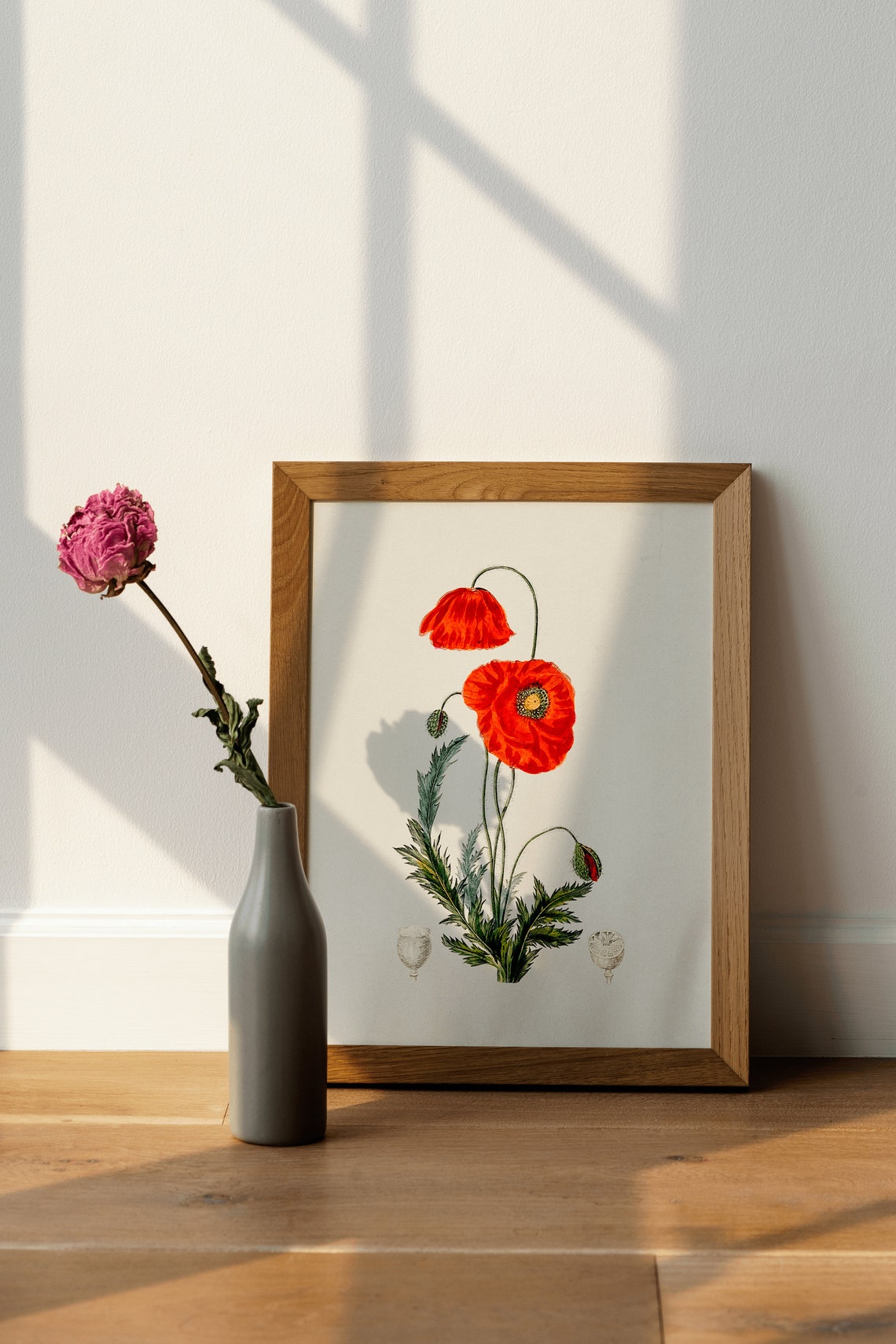 Red Poppy Flower Vintage Botanical Illustration Minimal Wall Poster - Image 4