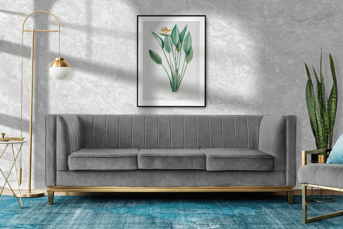 Bird Of Paradise Botanical Art Print, Vintage - Image 2