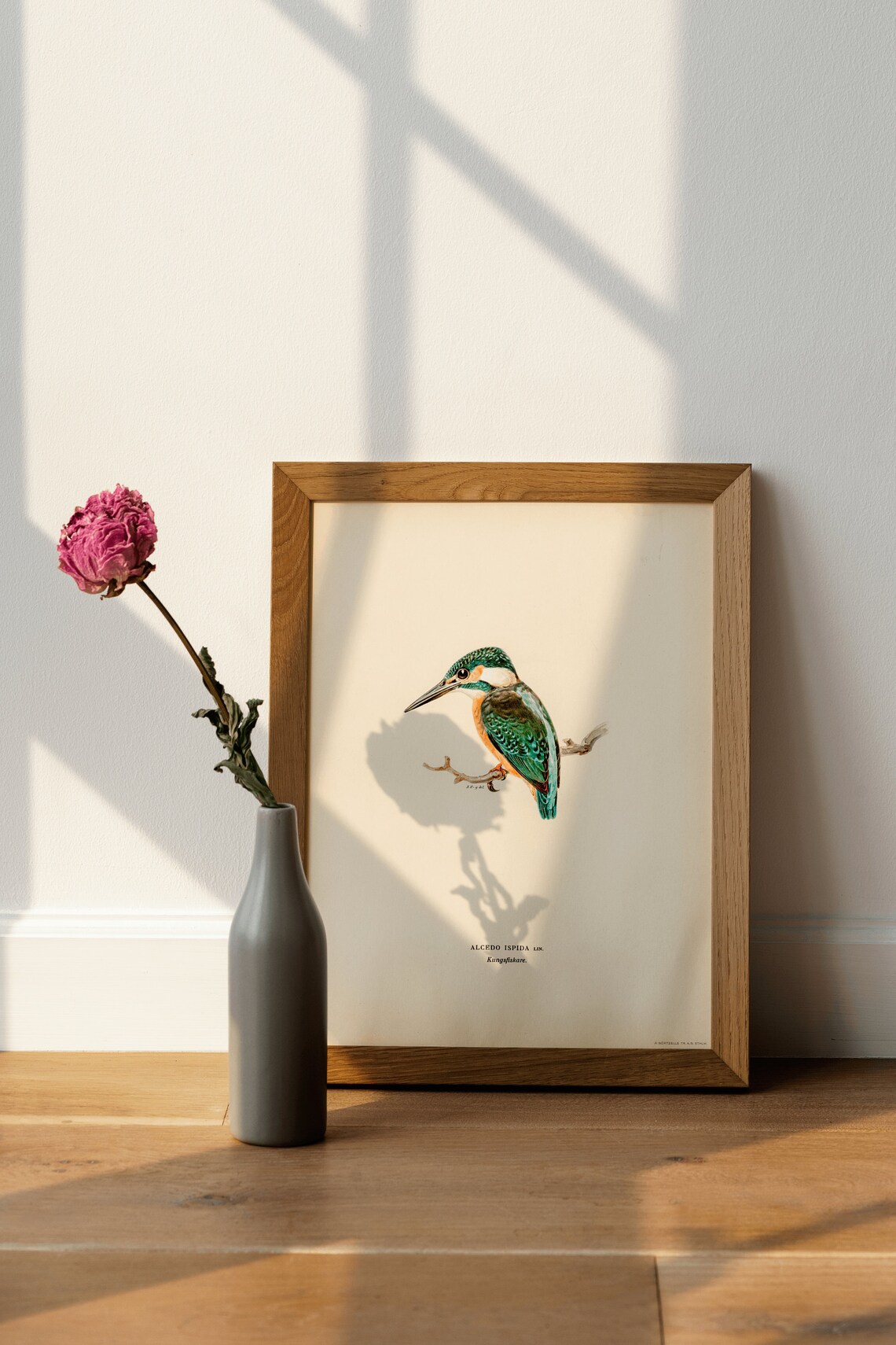 Common Kingfisher Vintage Nature Art Print Poster - Image 4