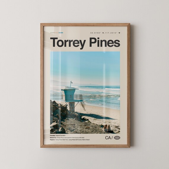 Torrey Pines Beach Lifeguard Tower Ocean Waves San Diego Poster
