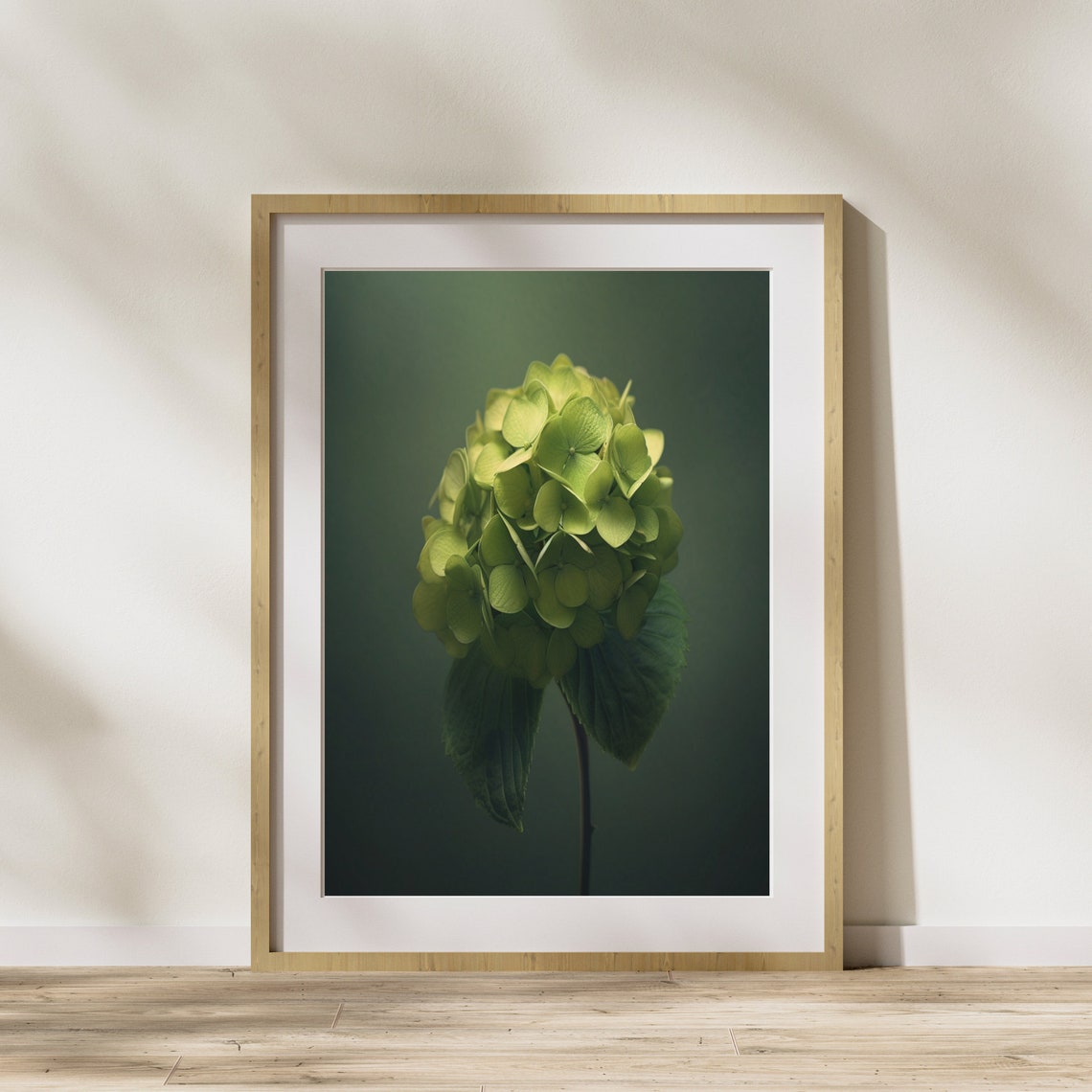 Green Hydrangea Blossom Dark Moody Botanical Photography Wall Art