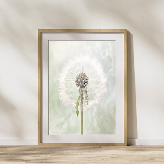 Dandelion Seed Head Soft Macro Dreamy White Botanical Wall Art