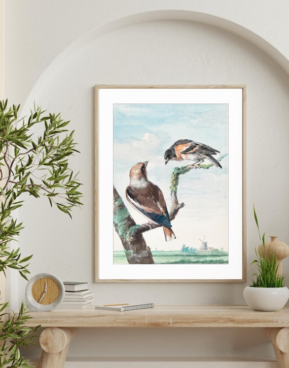 Two Birds Vintage Print, Aert Schouman 1752