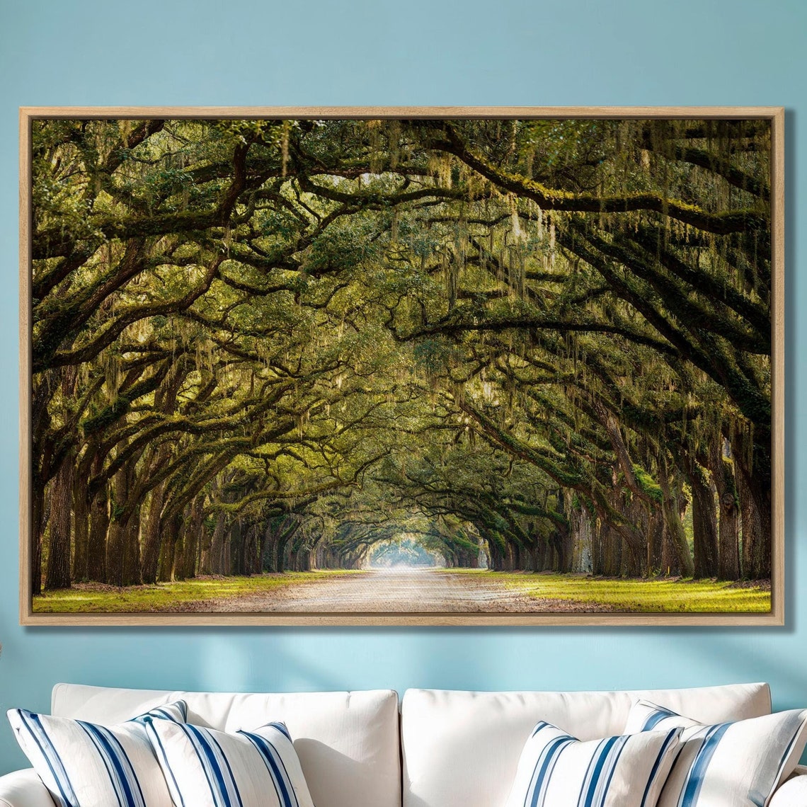 Spanish Moss Oak Tunnel Road Savannah Georgia Nature Photo Poster