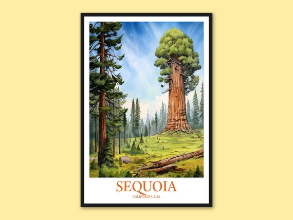 Sequoia National Park Watercolor Giant Redwood Forest Travel Poster