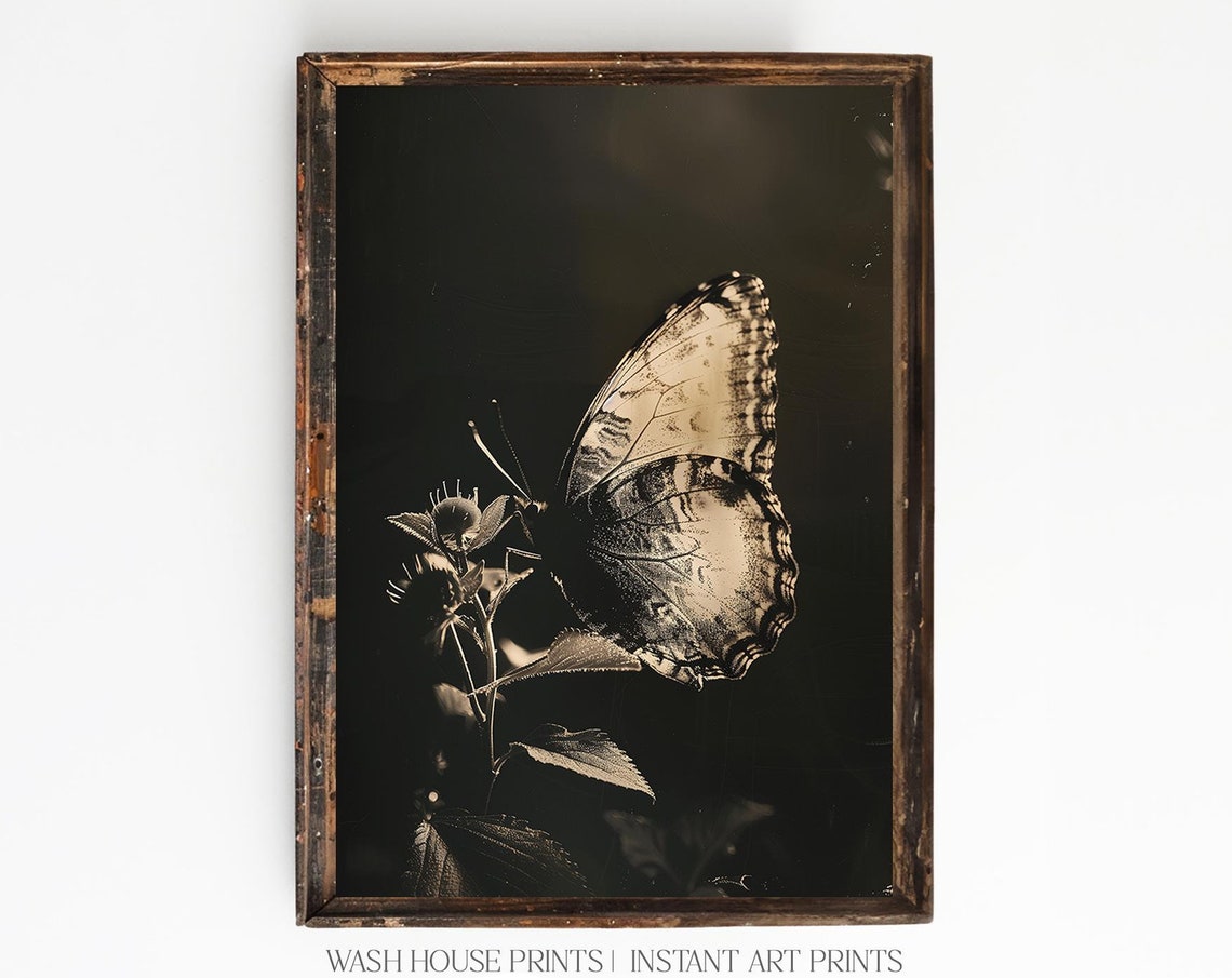 Dark Butterfly On Blooming Stem Monochrome Nature Art Wall Poster