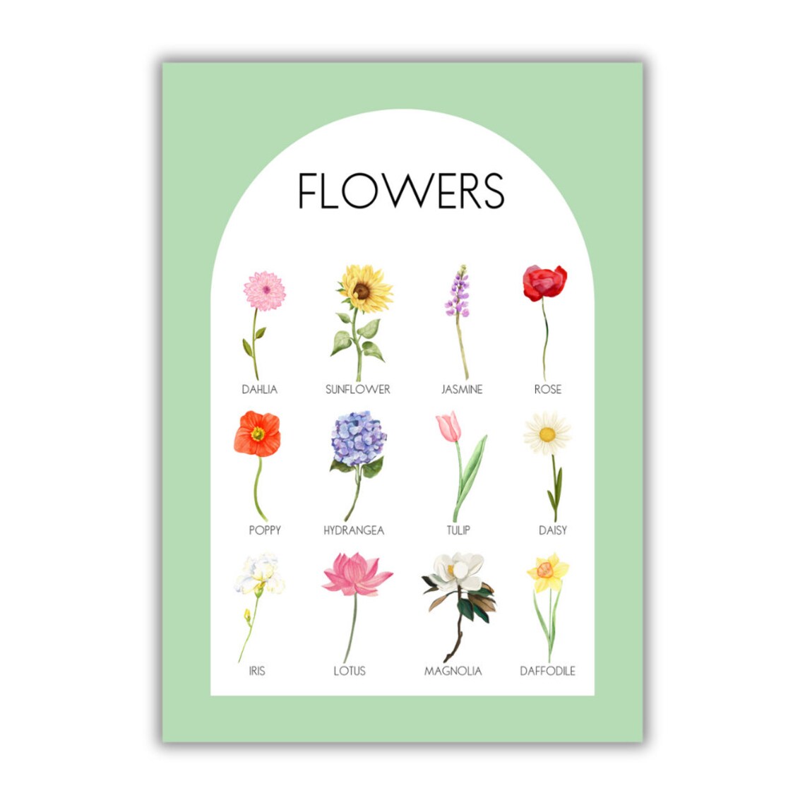 Watercolor Flowers Educational Poster with Names for Kids Room Decor - Image 3