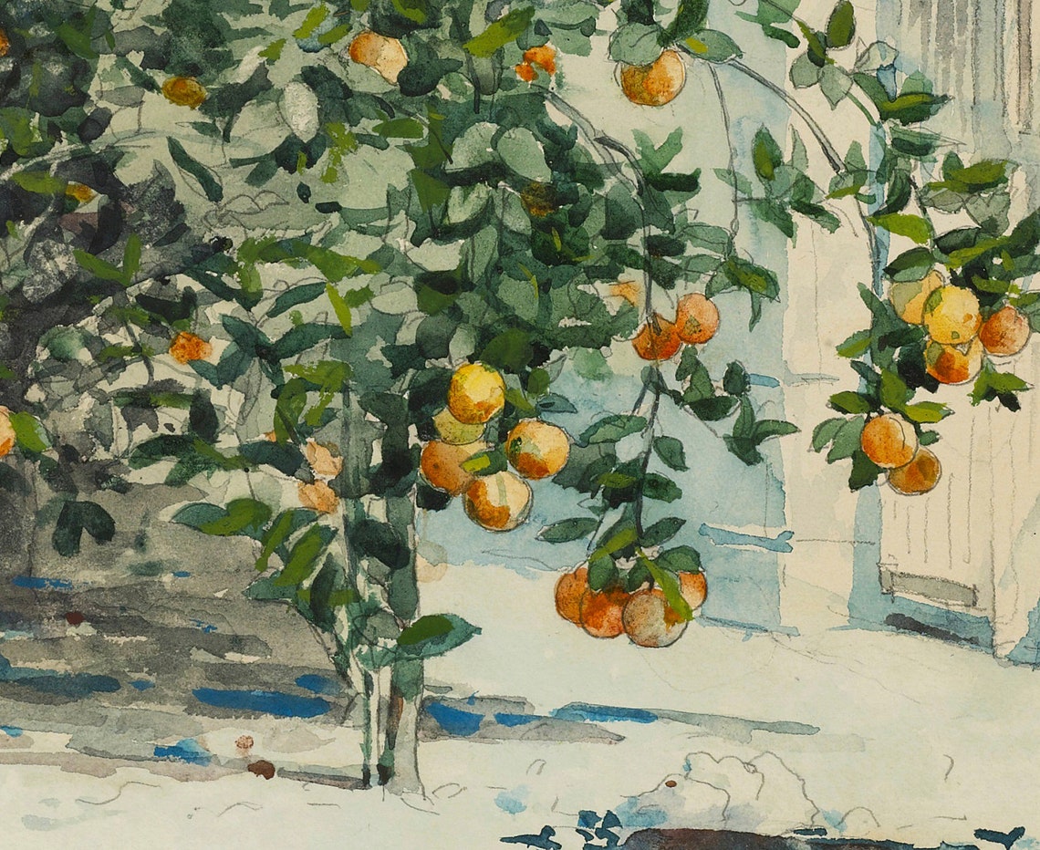 Orange Tree by White Gate Mediterranean Watercolor Art Poster - Image 2