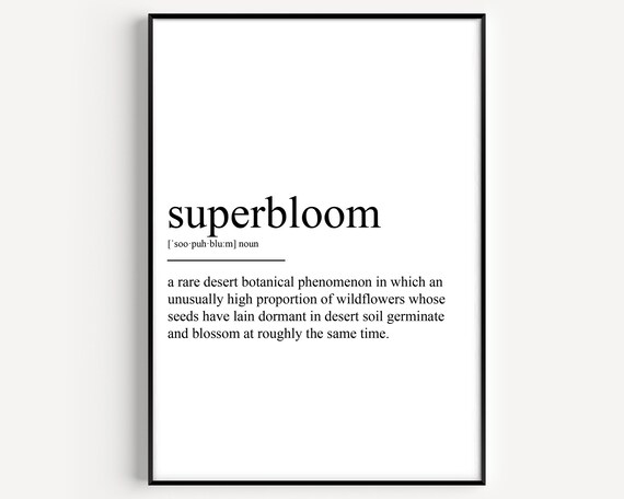Superbloom Dictionary Definition Desert Wildflowers Word Poster