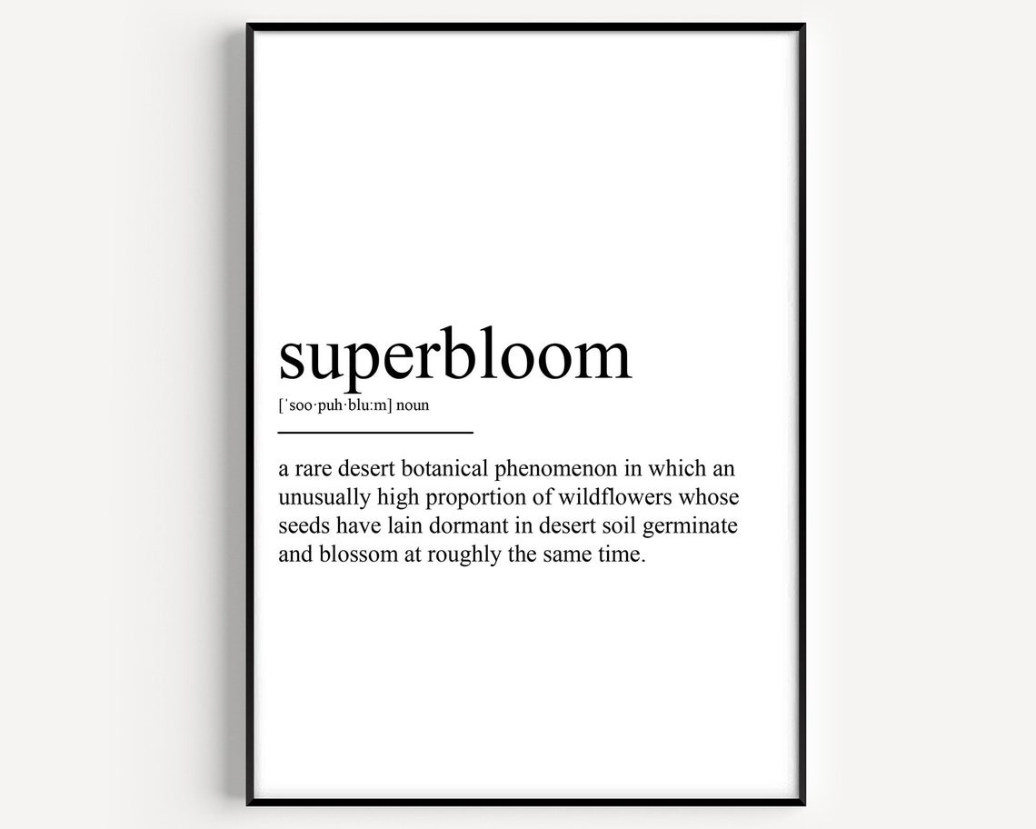 Superbloom Dictionary Definition Desert Wildflowers Word Poster