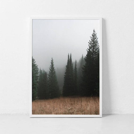 Forest Photography Nature Art Print, Woodland Poster