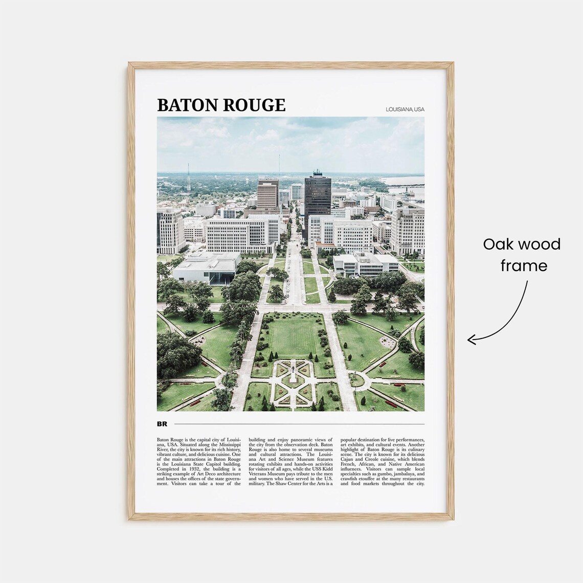 Baton Rouge Louisiana Downtown Gardens Aerial Cityscape Poster - Image 3