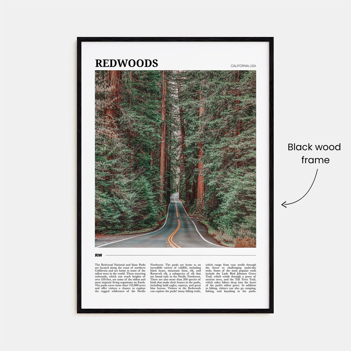 Redwoods Travel Poster, California USA Landscape - Image 2