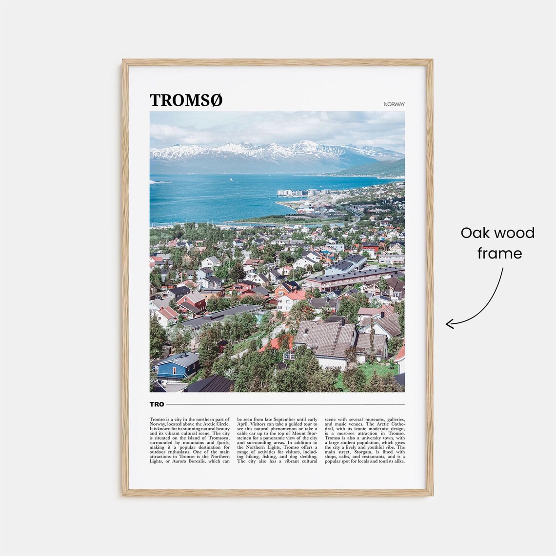 Tromso Norway Arctic Fjord City Snowy Mountain Travel Poster Series - Image 3