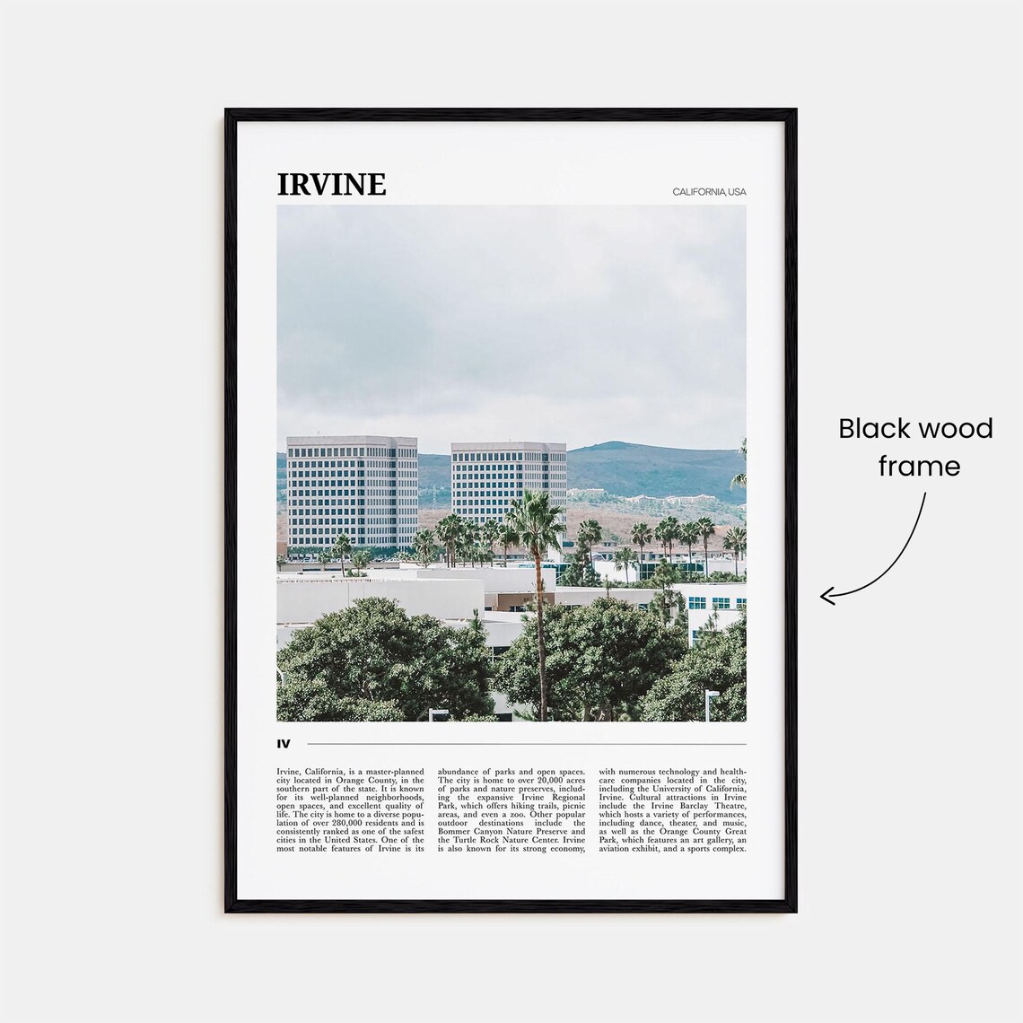 Irvine California USA Corporate Office Towers Palm Trees Poster - Image 2