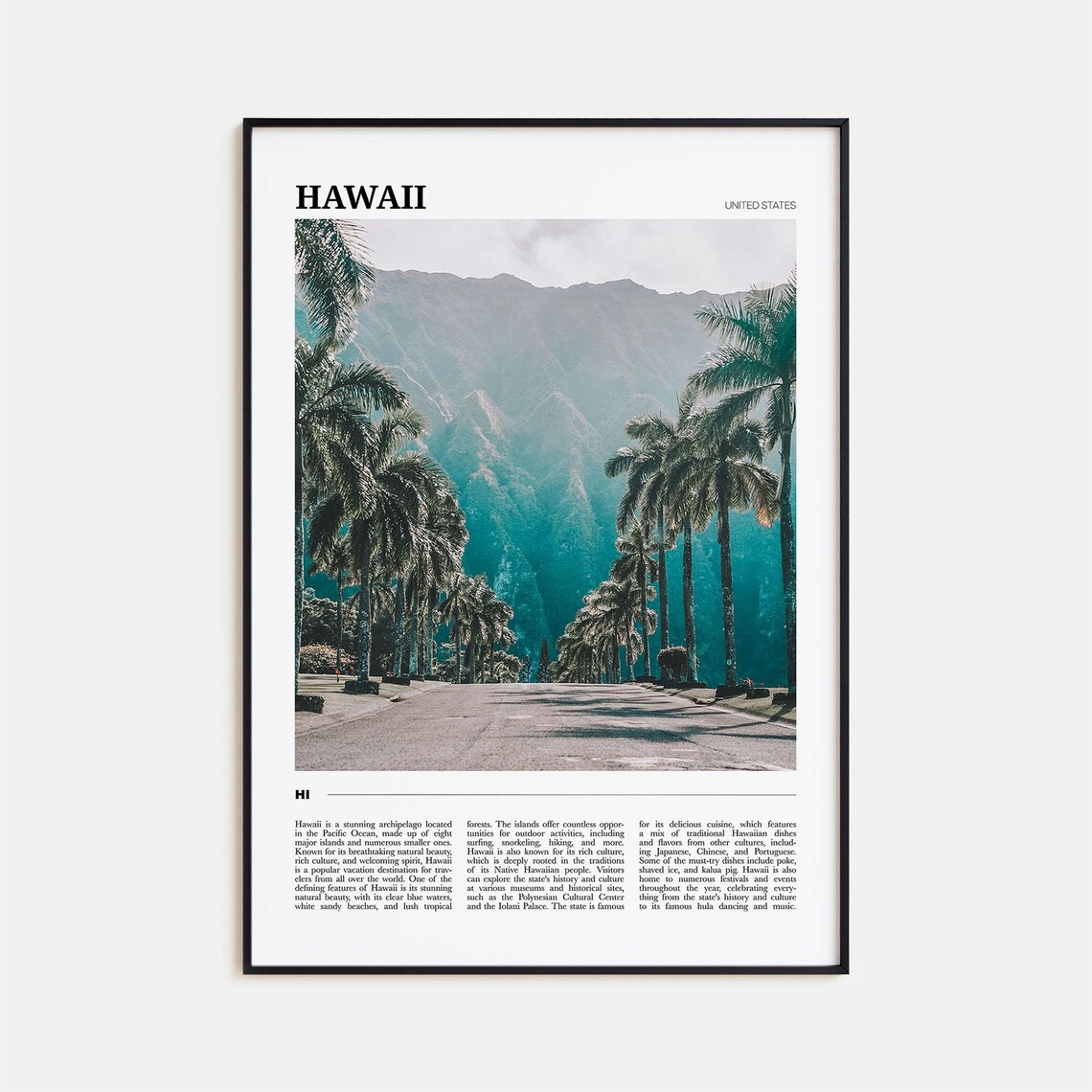 Hawaii Travel Poster No 1 Poster Print